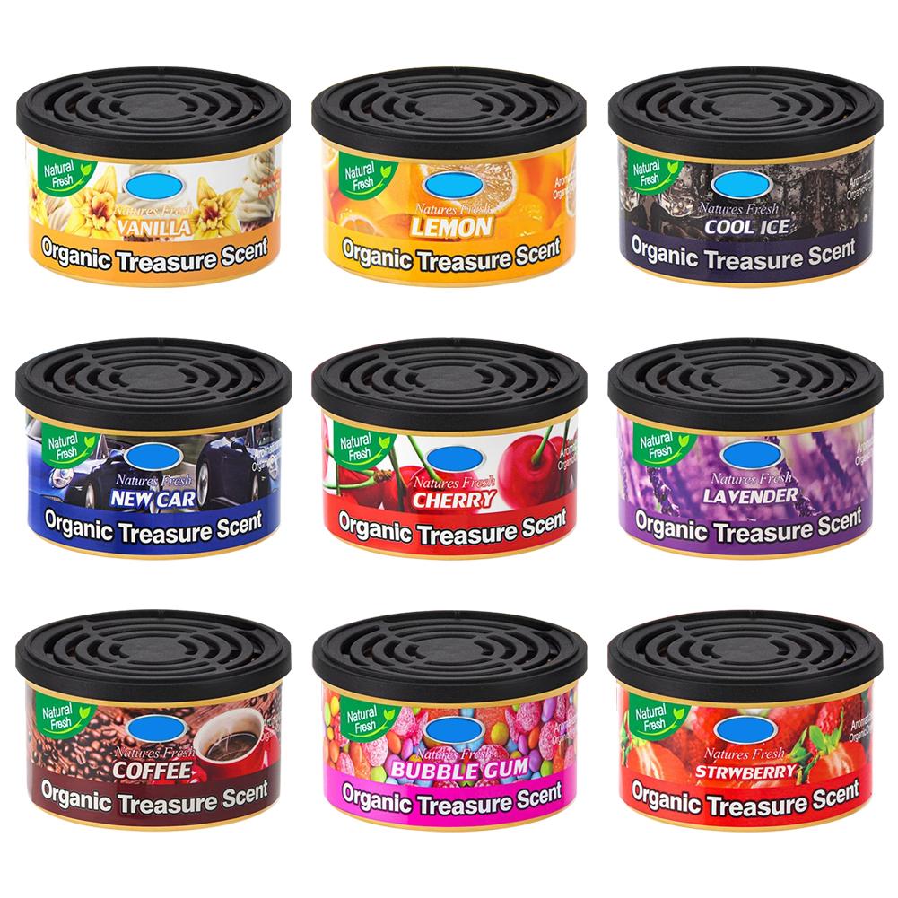 Home Fragrance Non Toxic - Car Air Freshener Cans – Natural