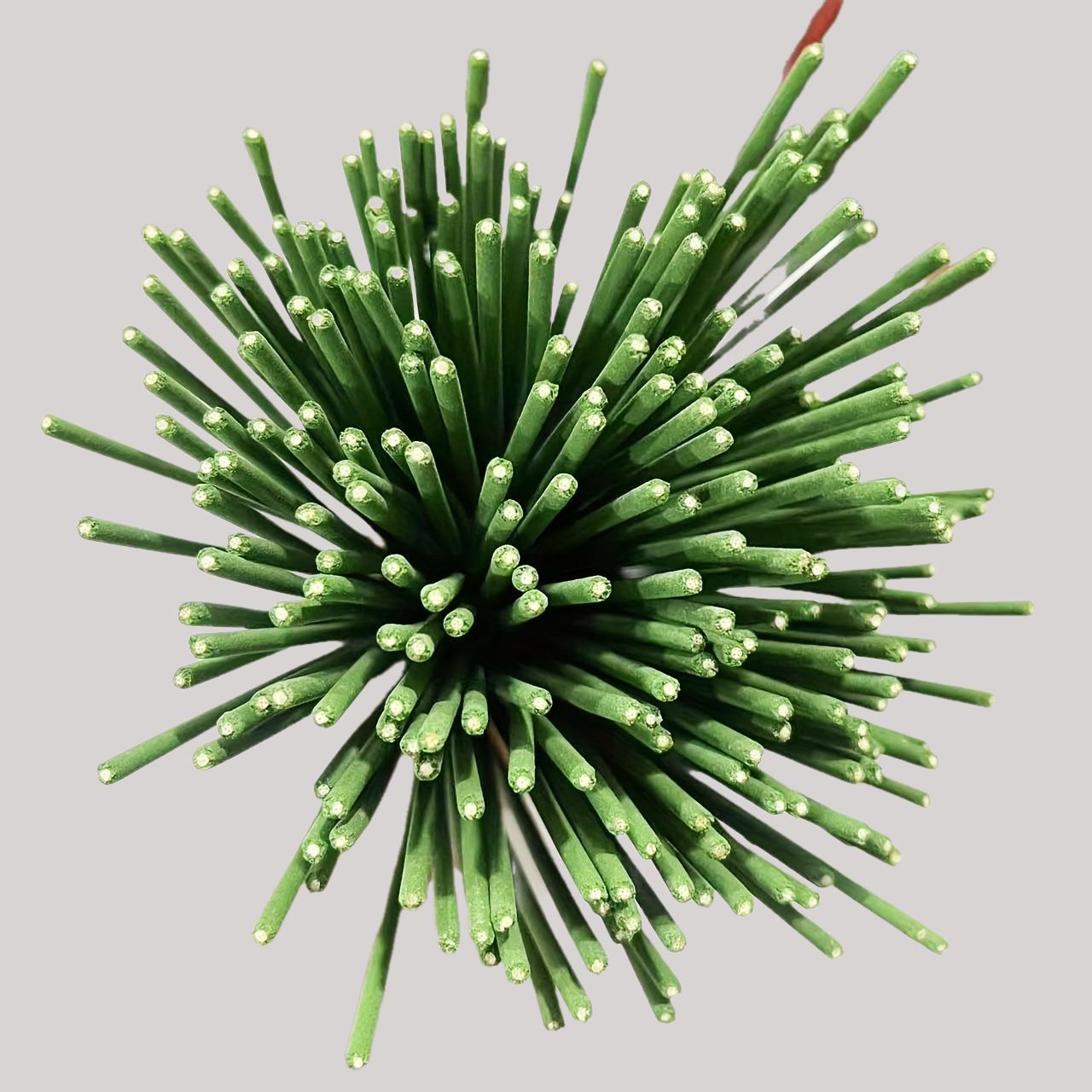 Reed Diffuser Sticks Lemongras - Home Fragrance Logo review and price