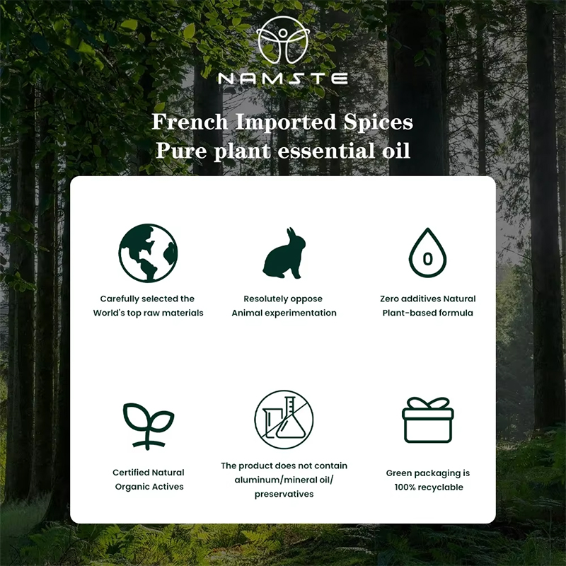 NAMSTE 100ML Oil Diffuser Esse - Home Fragrance Logo review and price